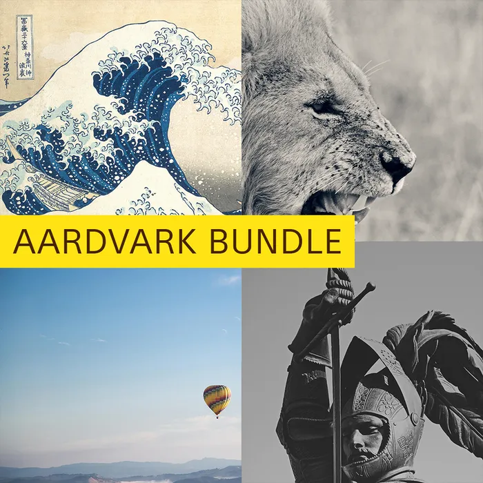 Abacus Bundle - Airborne, Wave, Lion, Torino