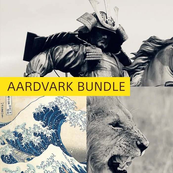 Abacus Bundle - Samurai, Wave, Lion