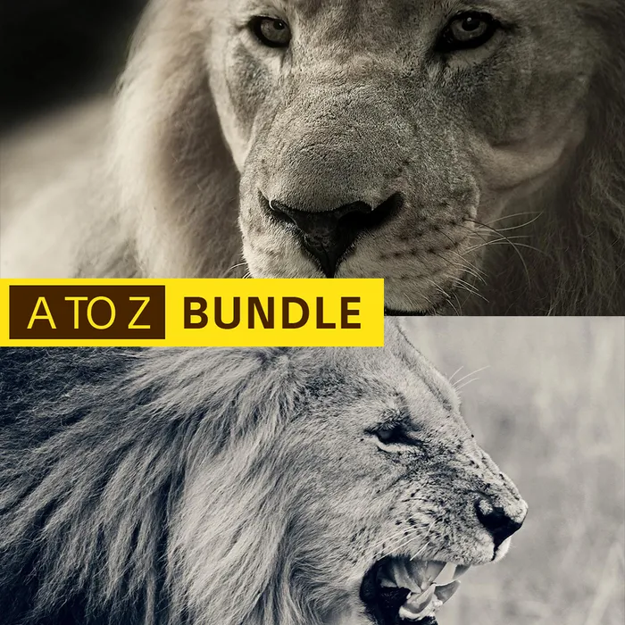 A TO Z Bundle - 2 Lion Themes