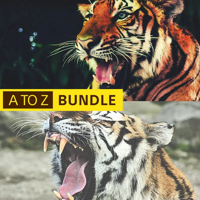 A TO Z Bundle - 2 Tiger Themes