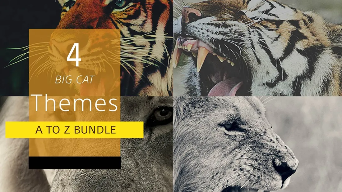 A To Z Bundle - Big Cats (4 themes)