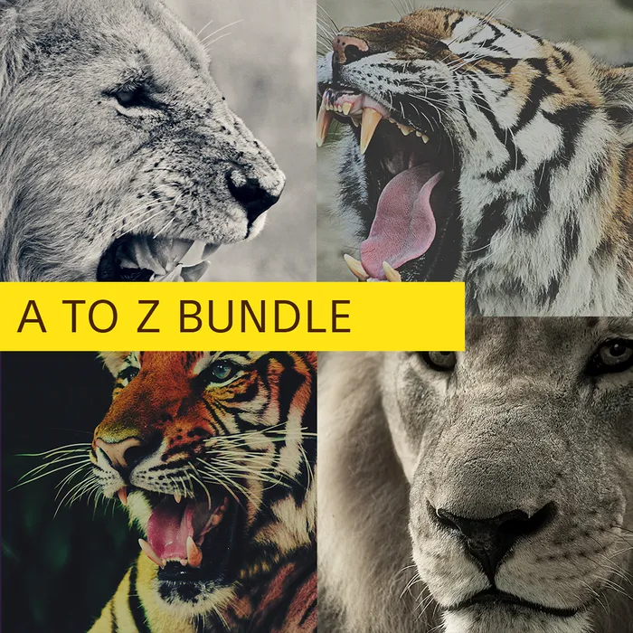 A To Z Bundle - Big Cats (4 themes)