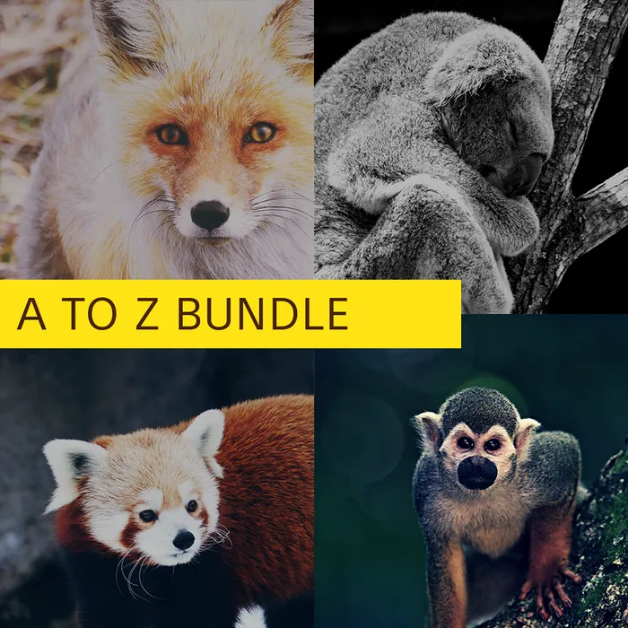 A To Z Bundle - Adorable Animals (4 themes)