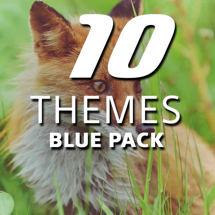 Blue Bundle