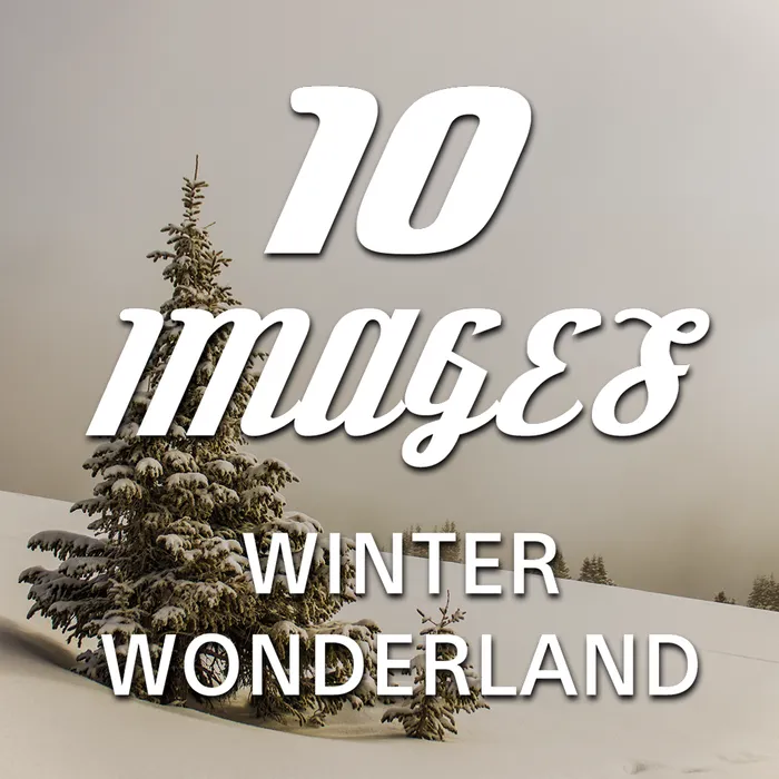 10 Images - Winter Wonderland Dynamic Theme