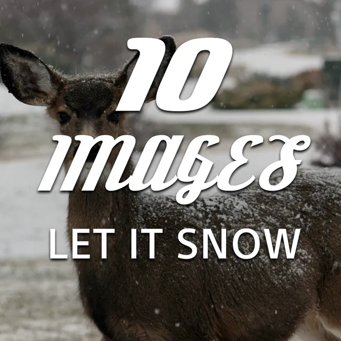10 Images - Let It Snow Dynamic Theme