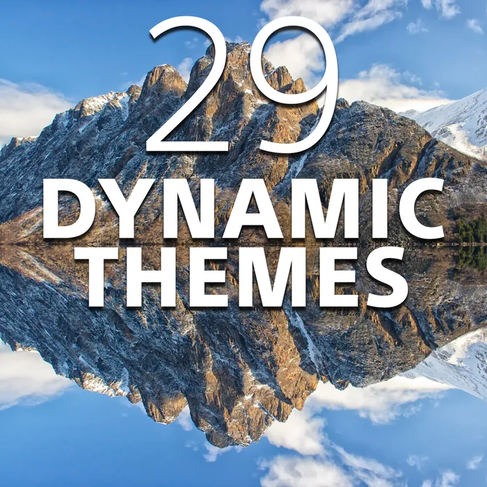 29 Dynamic Themes Bundle