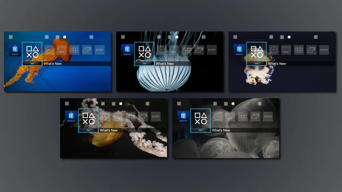 10 Images - Jellyfish Dynamic Theme