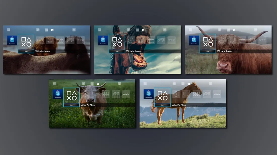 10 Images - Horse & Cow Dynamic Theme