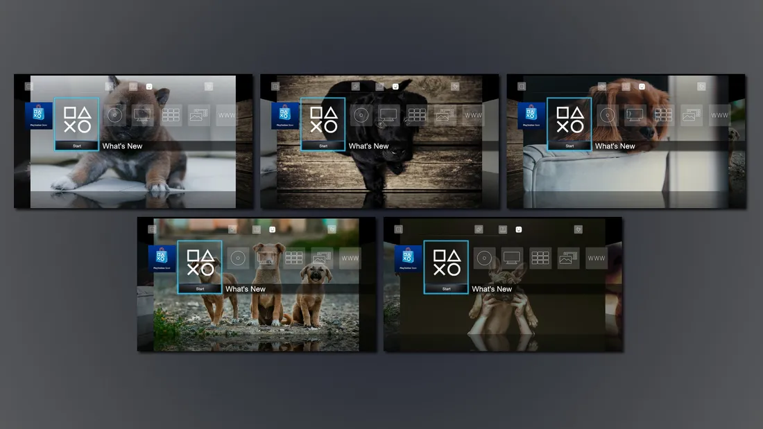 10 3D Images - Puppy Patrol Dynamic Theme