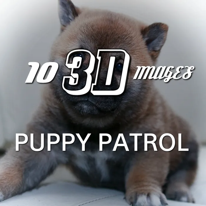 10 3D Images - Puppy Patrol Dynamic Theme