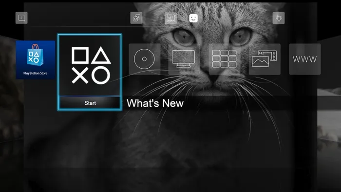 10 3D Images - Here Kitty Kitty Dynamic Theme