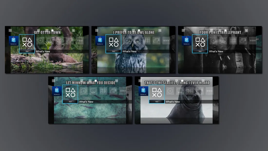 10 3D Images - Pathetic Animal Puns Dynamic Theme