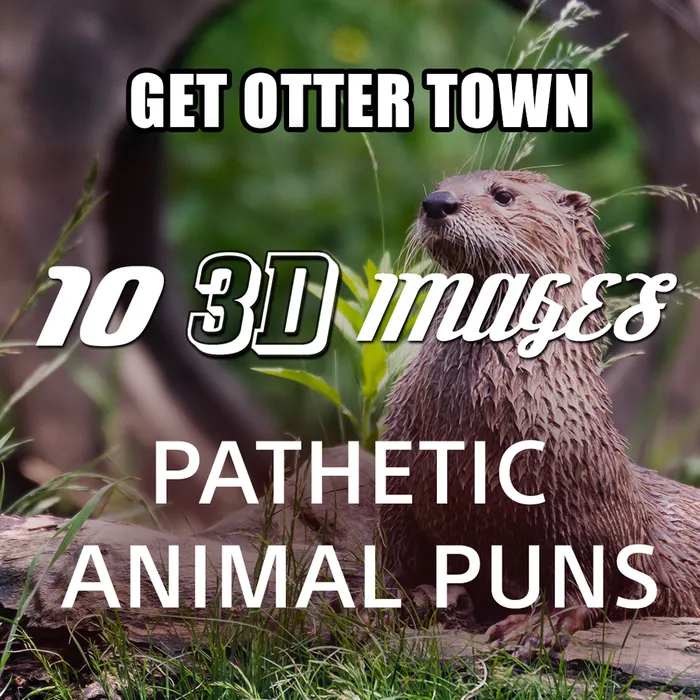10 3D Images - Pathetic Animal Puns Dynamic Theme