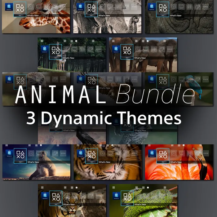 Animal Bundle - 3 Dynamic Themes