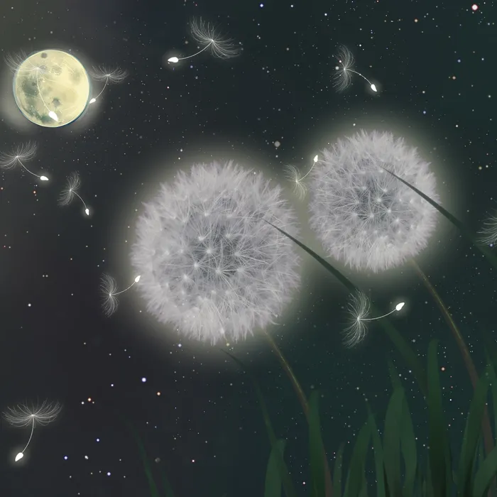 A Flower Sonata
