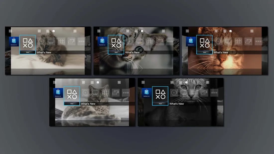 4 Cute Animals Premium Dynamic Themes Bundle