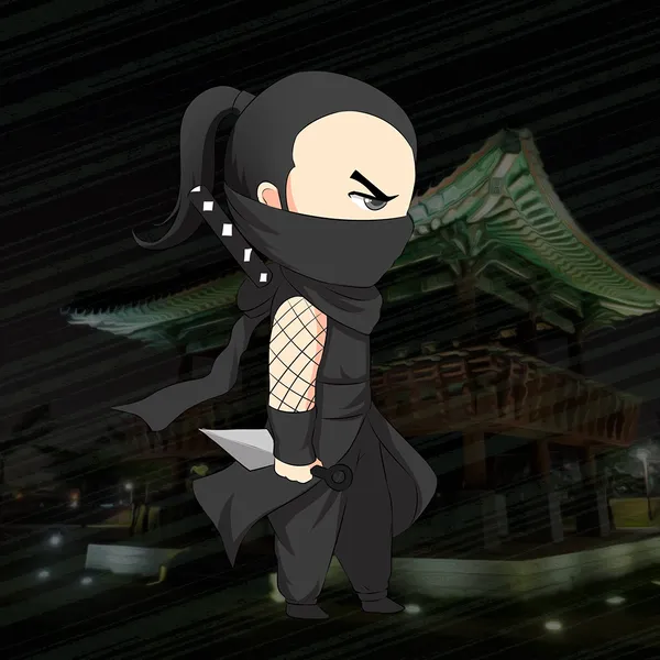 Hunter Ninja